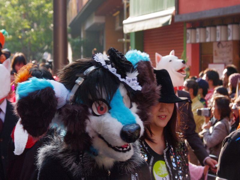 b0165778_8545680.jpg