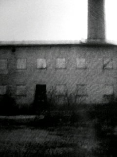 f0100480_1839524.jpg