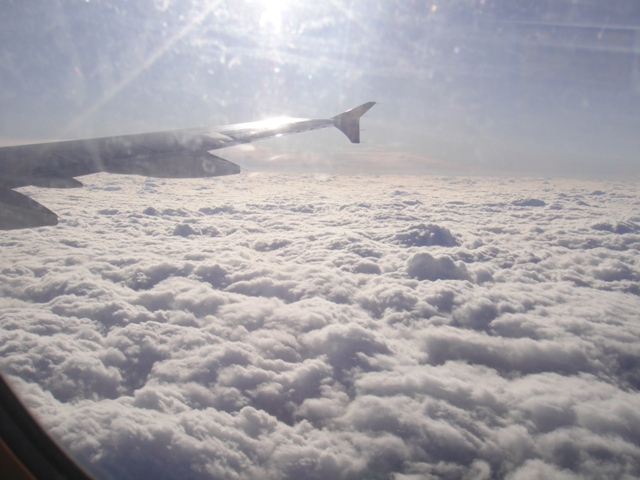 a0028482_20551474.jpg