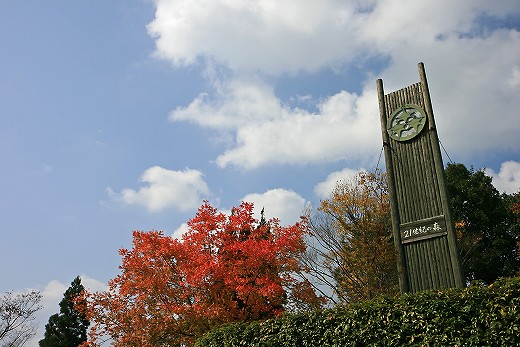 e0190885_1975333.jpg
