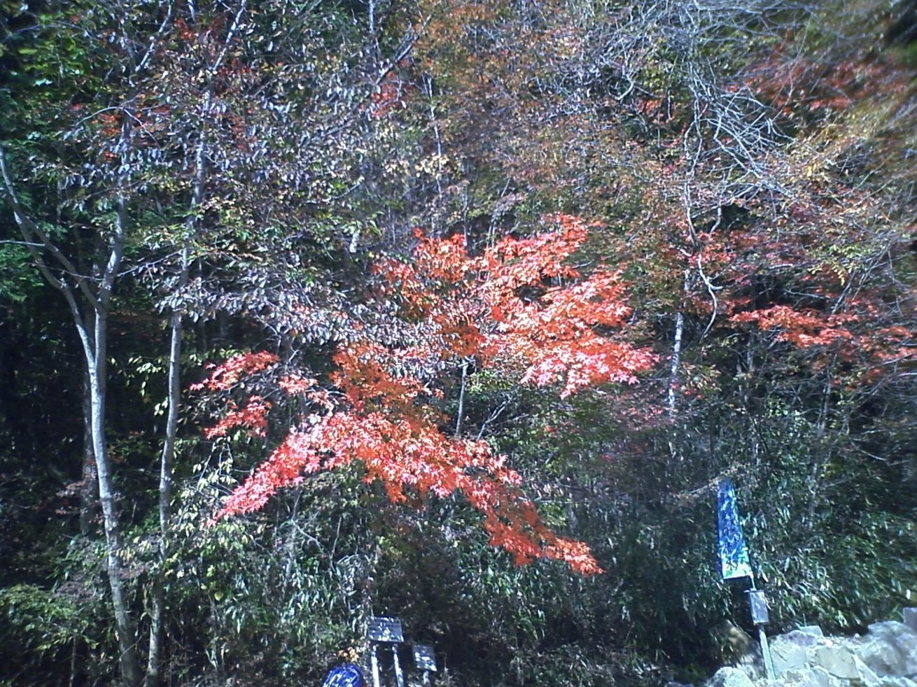 c0191988_13461441.jpg