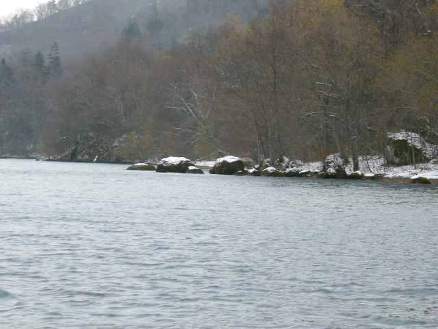 a0118989_19372211.jpg