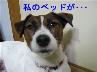 e0121589_21292278.jpg
