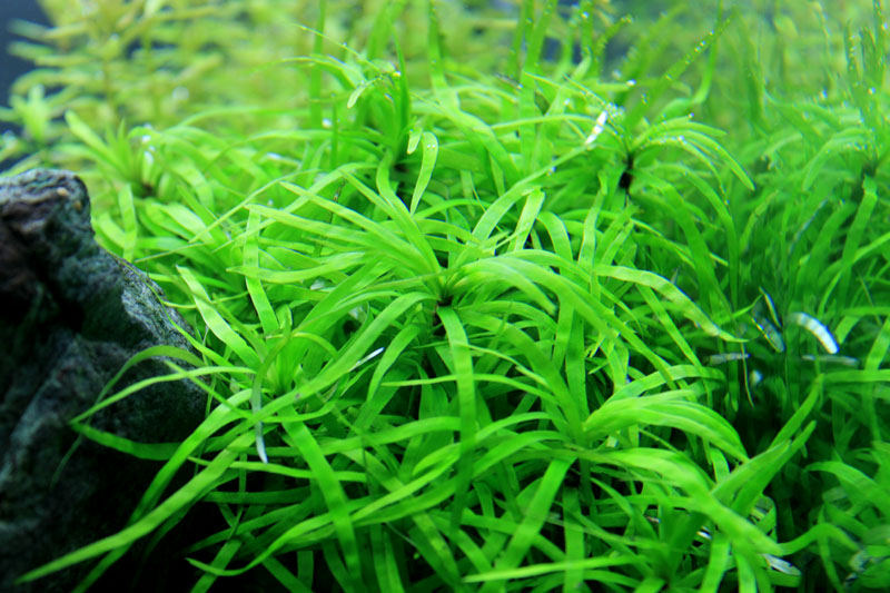 a0049090_21483010.jpg