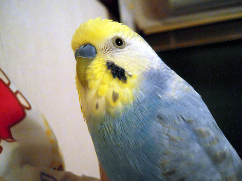 d0131293_005299.jpg
