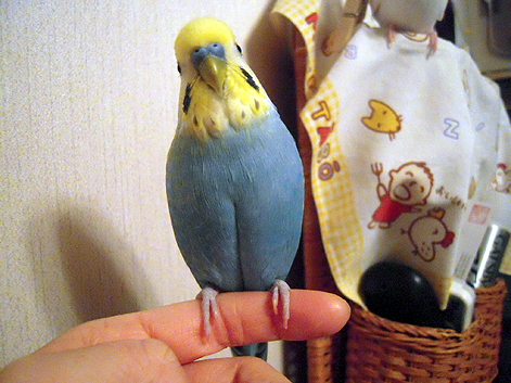 d0131293_01557.jpg