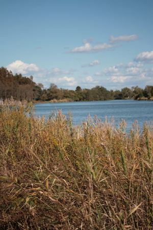 d0133693_1950463.jpg