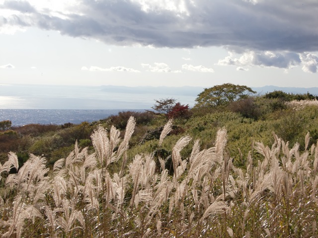 b0029694_1915279.jpg