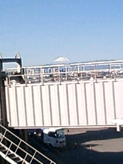 d0070094_831449.jpg