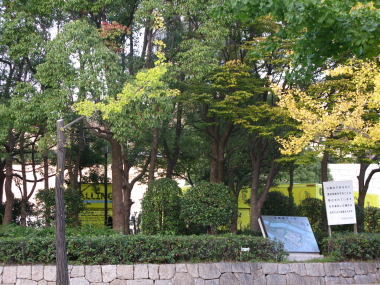 f0161494_58379.jpg