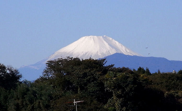 c0061695_19595981.jpg