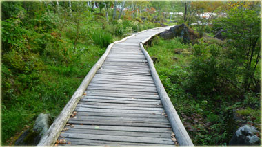 c0154095_1149188.jpg