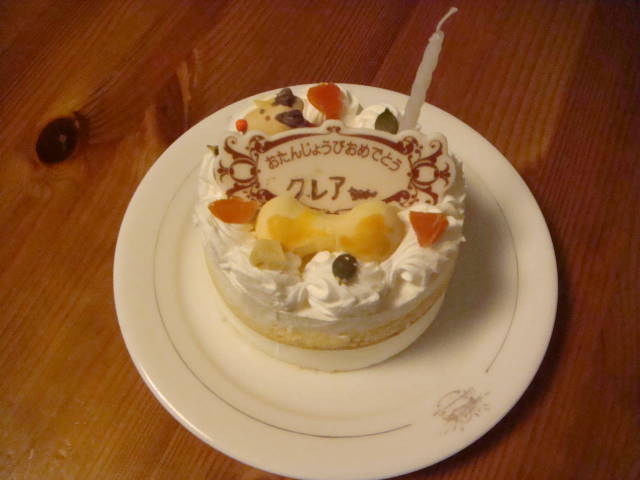 d0098295_21141121.jpg