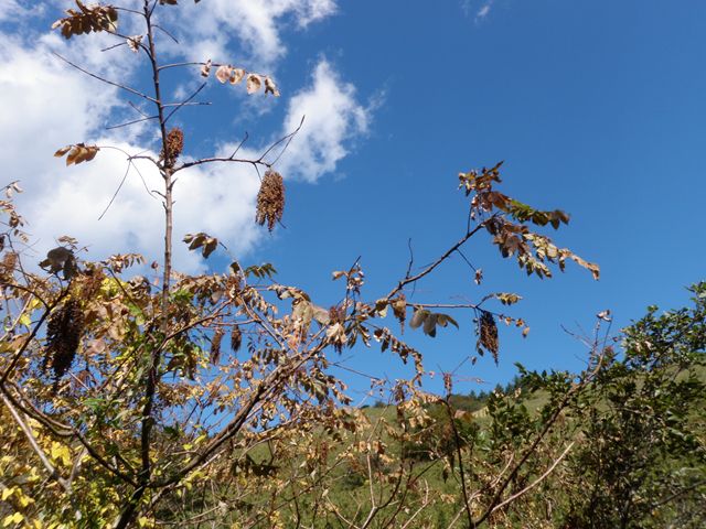 d0122797_2337971.jpg