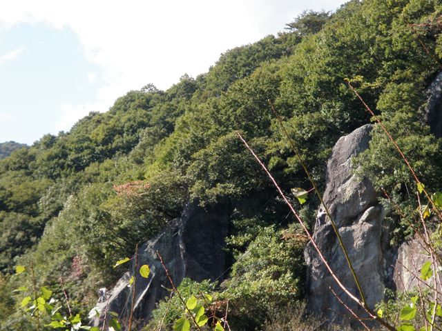 d0122797_23412926.jpg