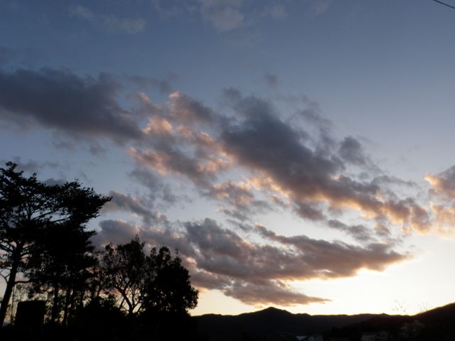 d0122797_23462999.jpg