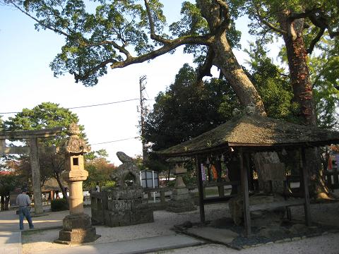 f0013998_544155.jpg