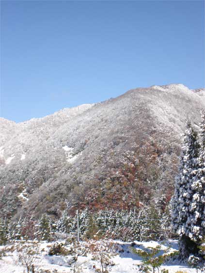 a0061599_13458.jpg