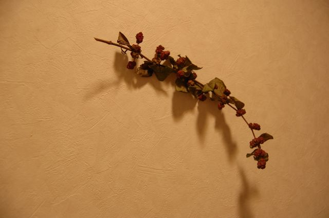 c0220399_743116.jpg