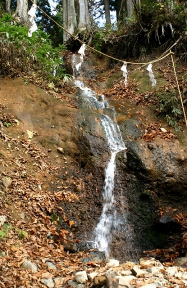 d0010900_2232564.jpg