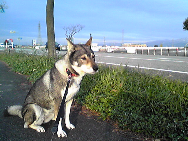 f0079202_16192786.jpg