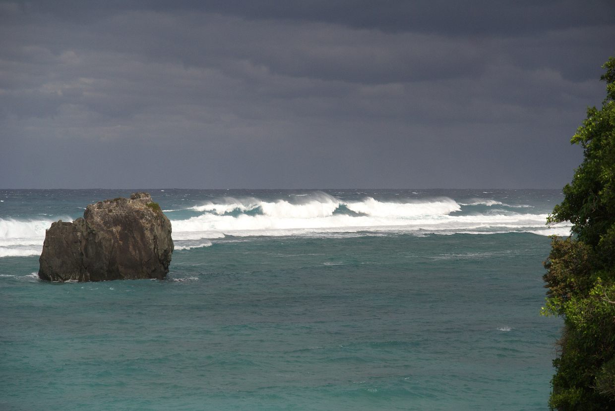 b0174905_6531421.jpg