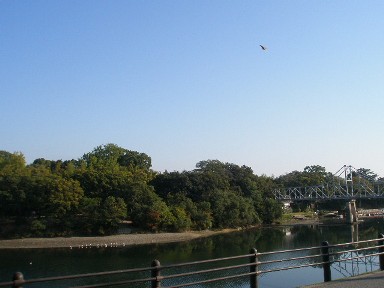 c0205806_17511325.jpg