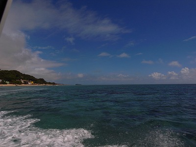 c0121707_138125.jpg
