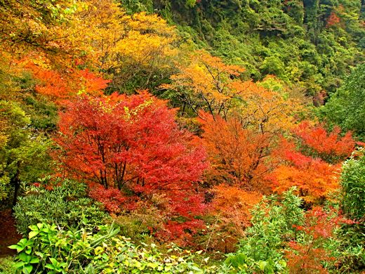 b0051109_16523560.jpg