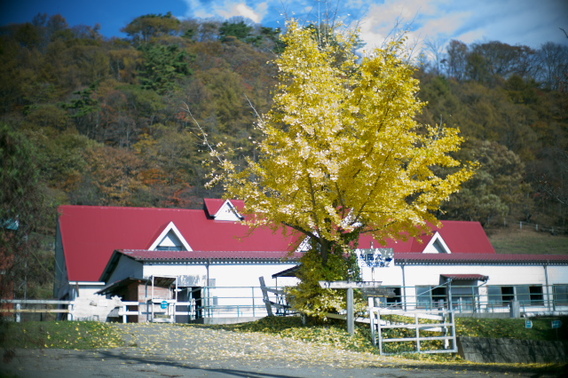 d0143011_21102250.jpg