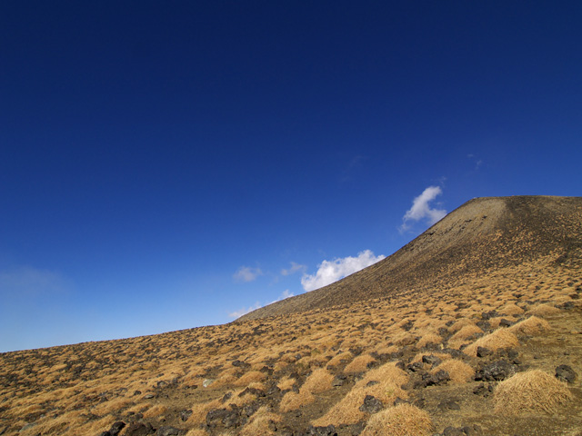 c0110112_23311164.jpg