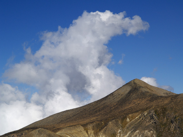 c0110112_2338499.jpg
