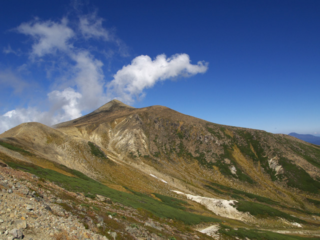 c0110112_23433484.jpg