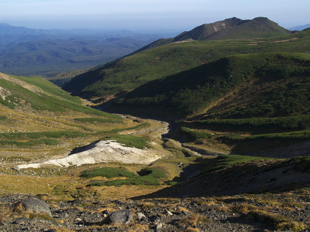 c0110112_23455656.jpg