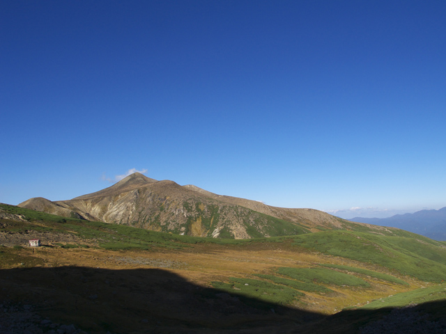 c0110112_2347619.jpg