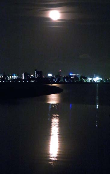c0133013_20255244.jpg