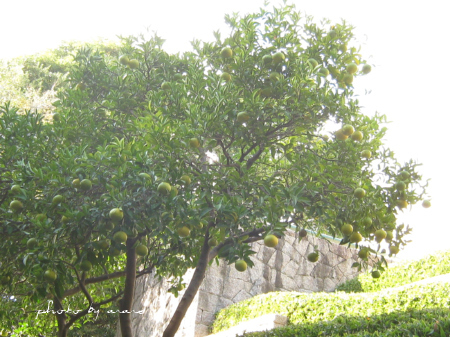 c0175715_17134828.jpg
