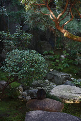 e0156015_1311080.jpg