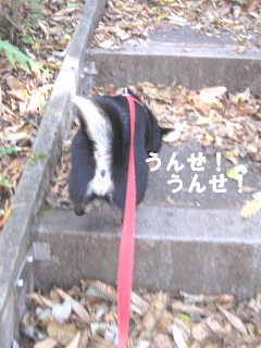 c0185516_13214388.jpg