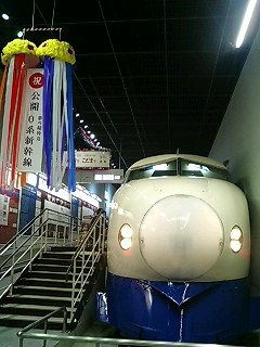 d0076117_07353.jpg