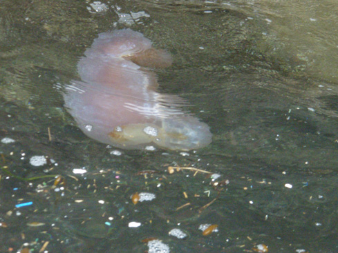b0117718_033121.jpg