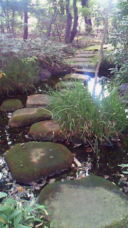 f0191520_11141821.jpg