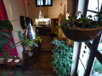c0223422_1110191.jpg