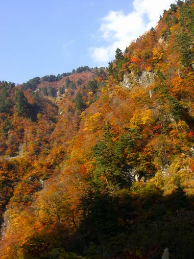 c0152123_741976.jpg