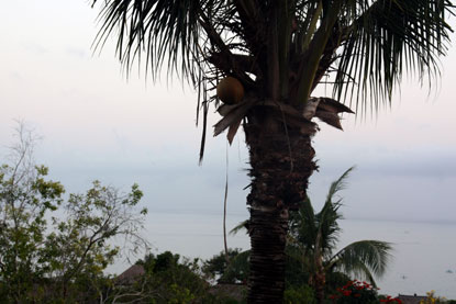 f0137324_2059148.jpg