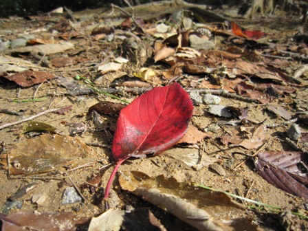 b0181027_234613.jpg