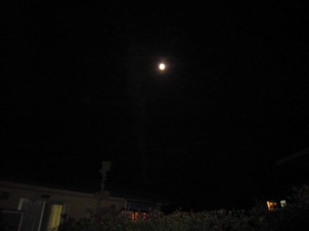 b0181027_23491856.jpg