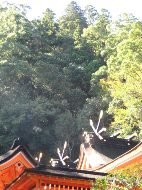 d0147727_19103515.jpg
