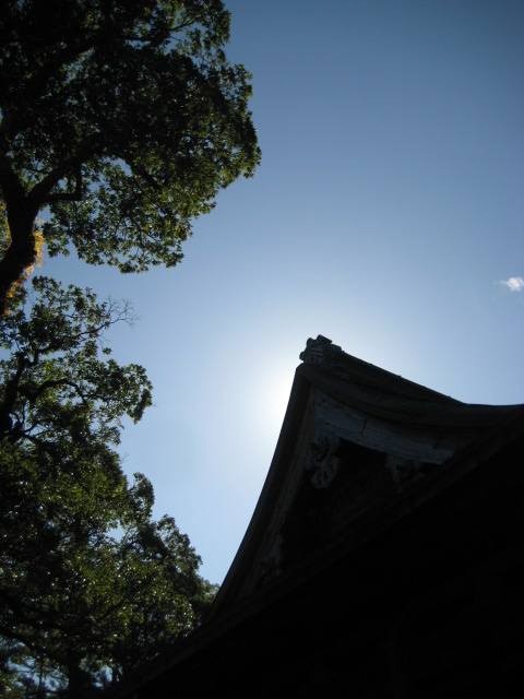 d0147727_1994048.jpg