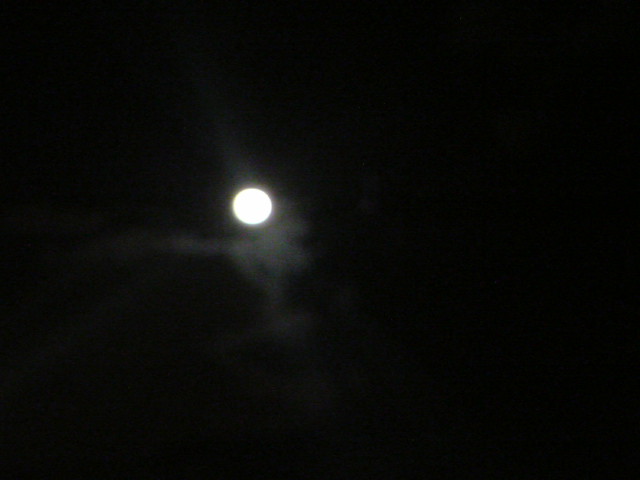 e0016828_20493760.jpg